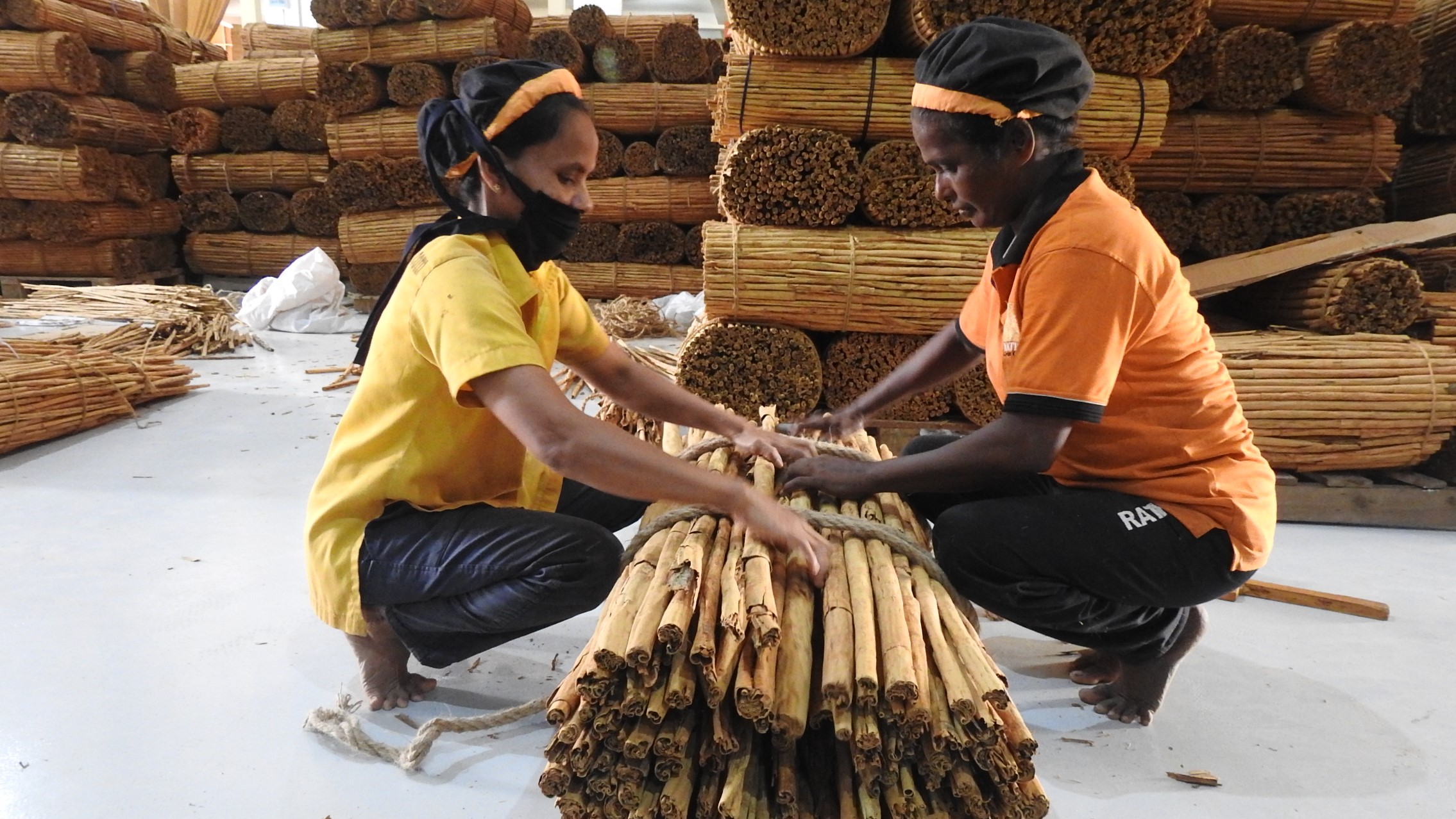 Boost For Sri Lanka S Cinnamon Producers As EU Agrees Protected   Cinnamon Bundling.JPG